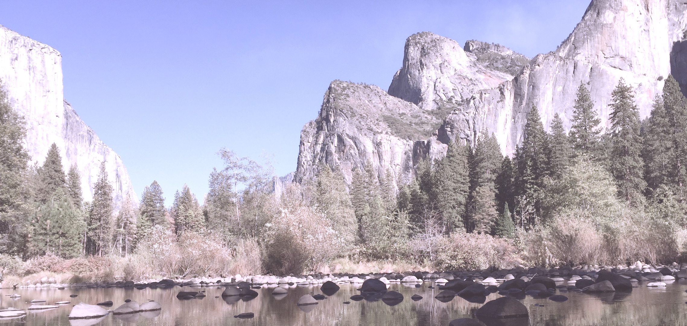 Proudit Inc. Background